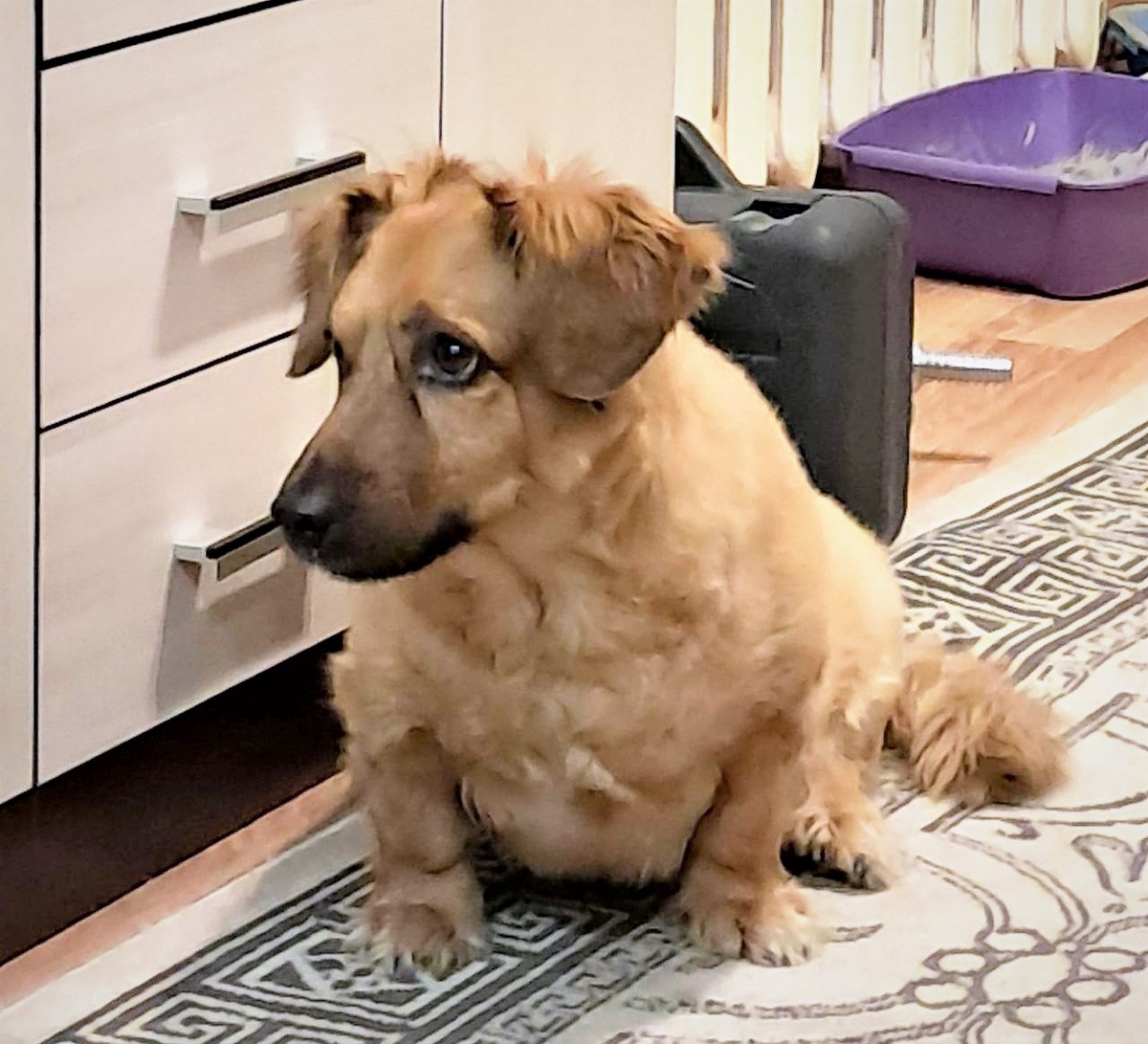 Благодарю за фото МАРИЮ)