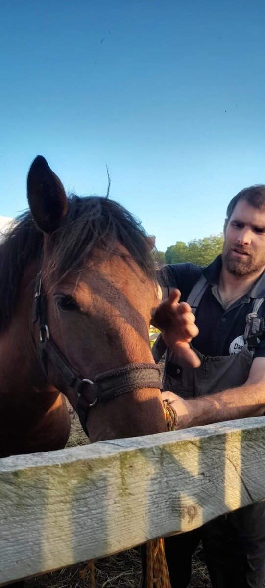 Мезенский Облик (Кисляк+Облава)