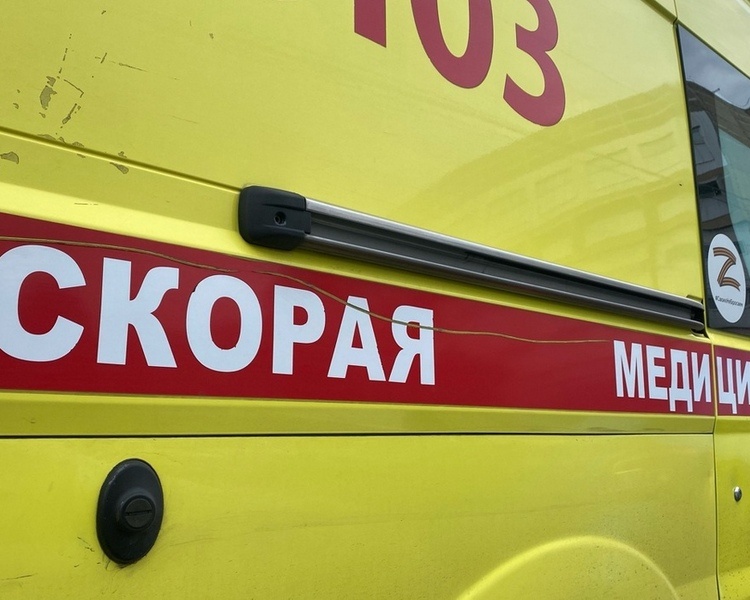     Курские медики получат новые внедорожники, купленные на средства из Сербии