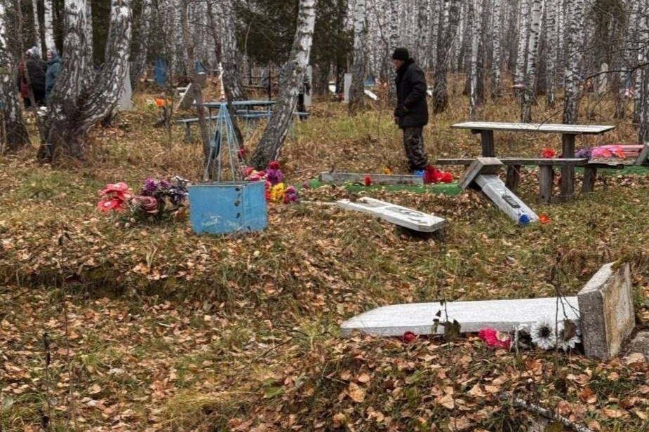    t.me/prokuratura_nso