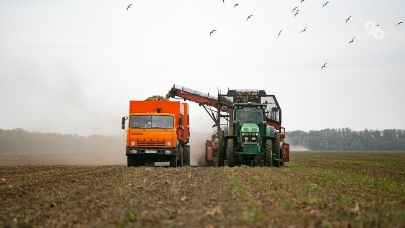      Фото: Валерия Алтухова / / ИА «Победа26»