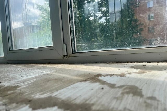    Фигурант представил сфальсифицированные документы о понесенных расходах. Фото: СК Владимирская область