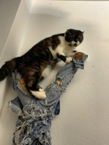 Фото из открытых источников