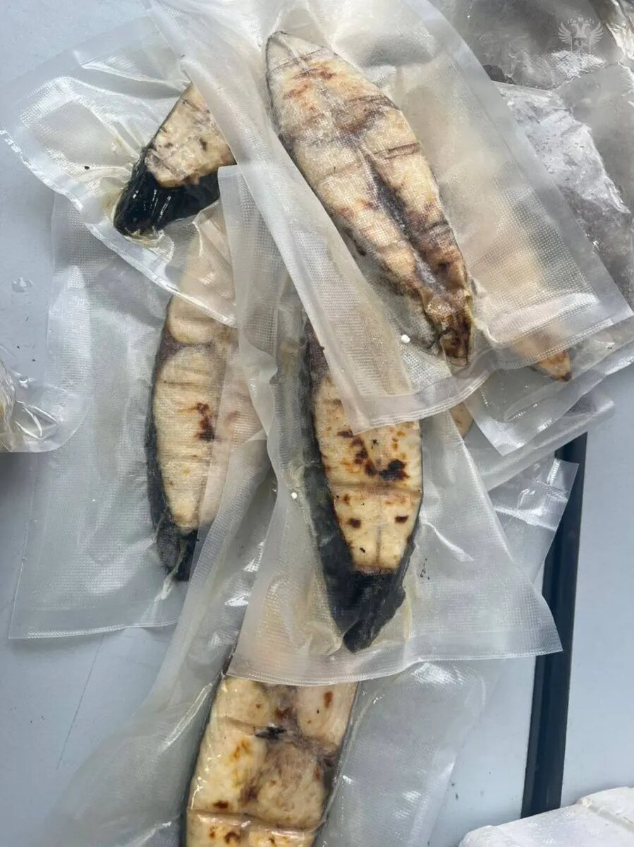    Фото: пресс-служба ФТС России