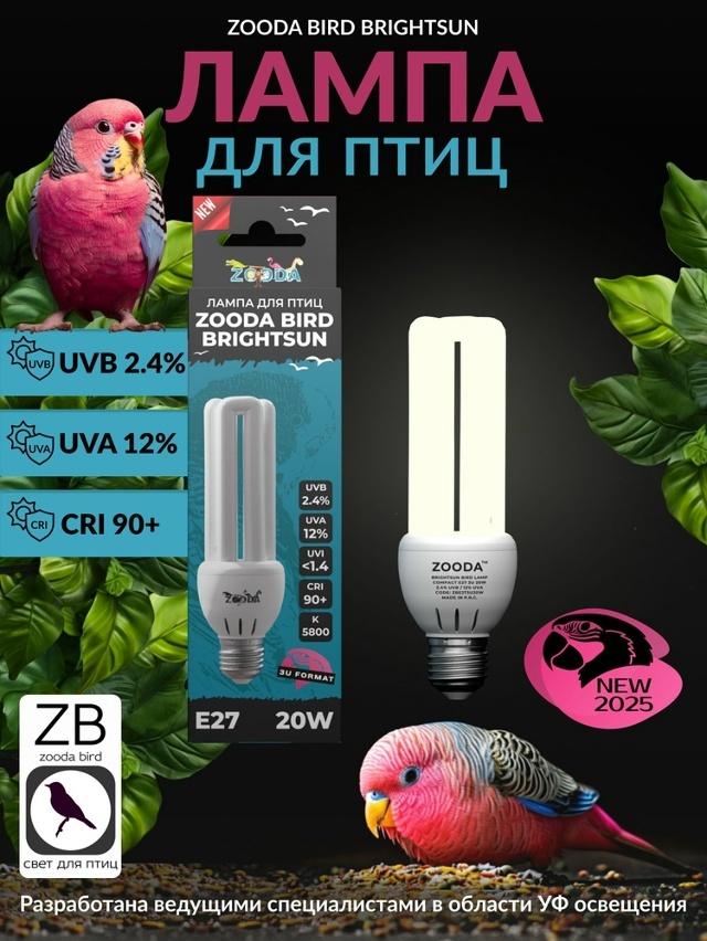 Пример правильного выбора лампы для птиц