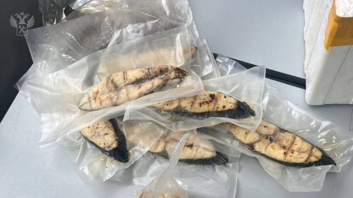    Фото: Telegram / ФТС России