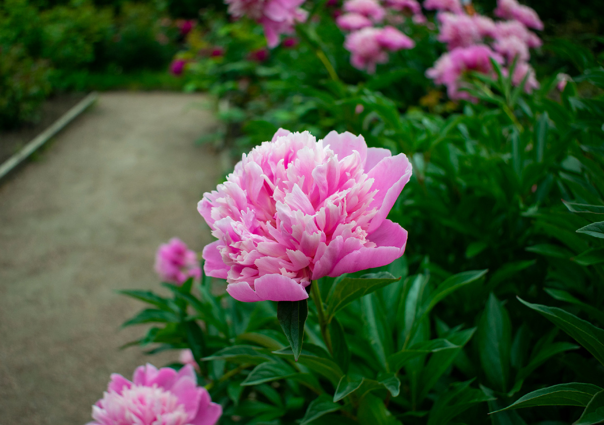 Фотография автора статьи.