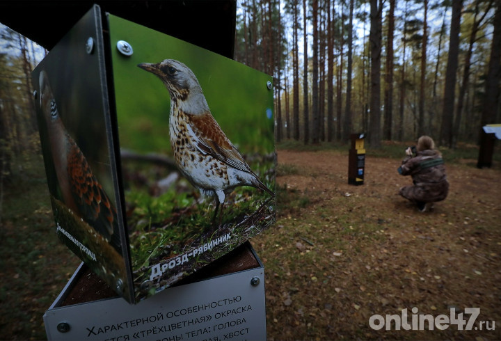 фото: Валентин Илюшин/Online47