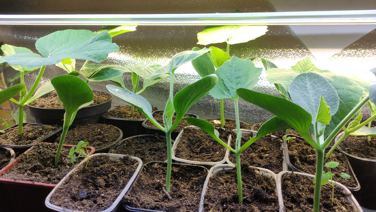 фото от 6 мая