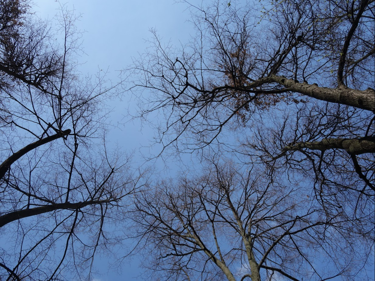 Источник: Портал «Моя Казань» / Камиль Хабибуллин