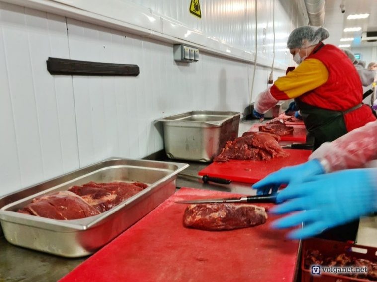 Фото: Volganet.net