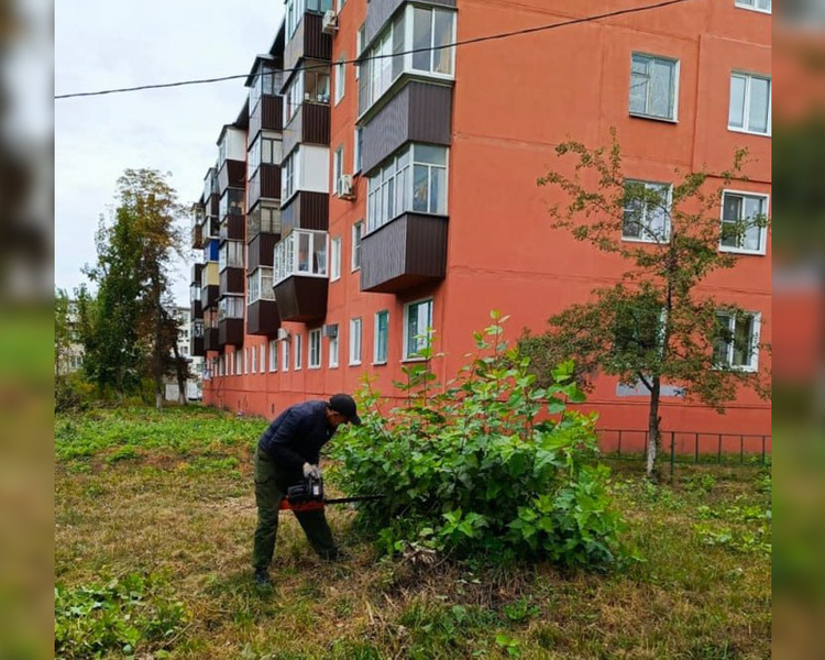     В Курске выявлено восемь нарушений при проверке дворов