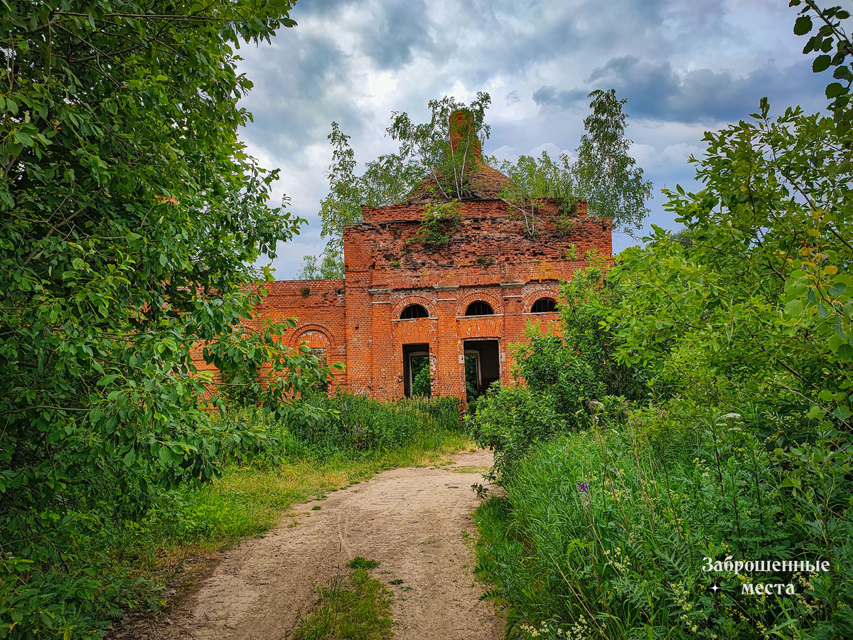 Преображенская церковь в Липках Тульской области. Фото автора 2023 год