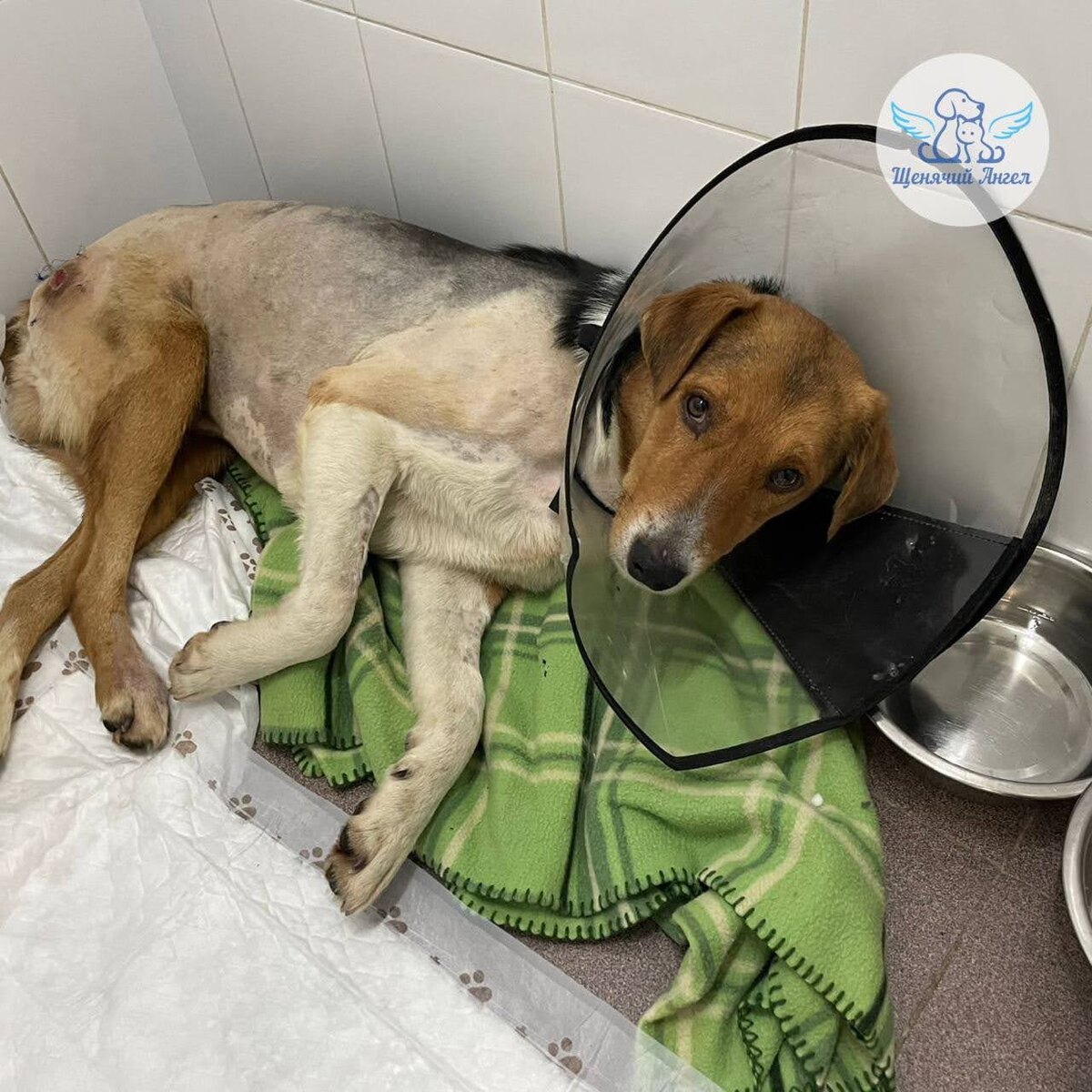 Это Степа в начале своего выздоровления