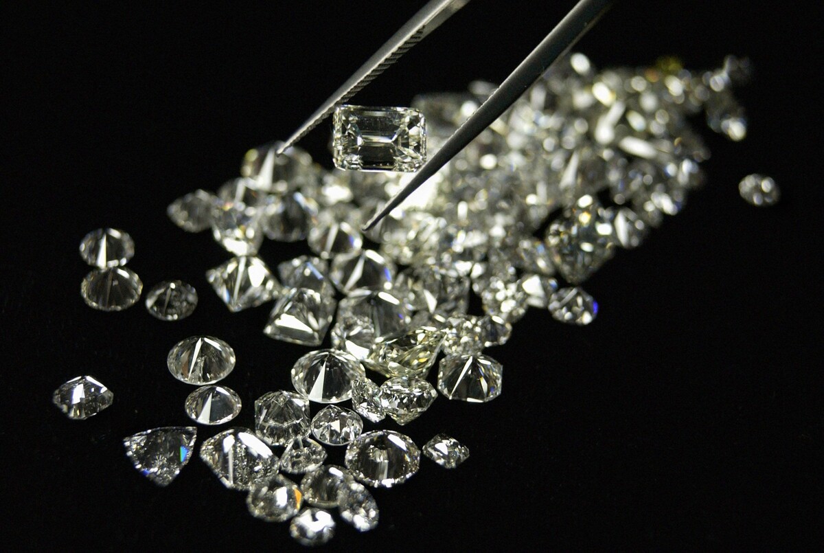 Фото: ТАСС/Савинцев Федор