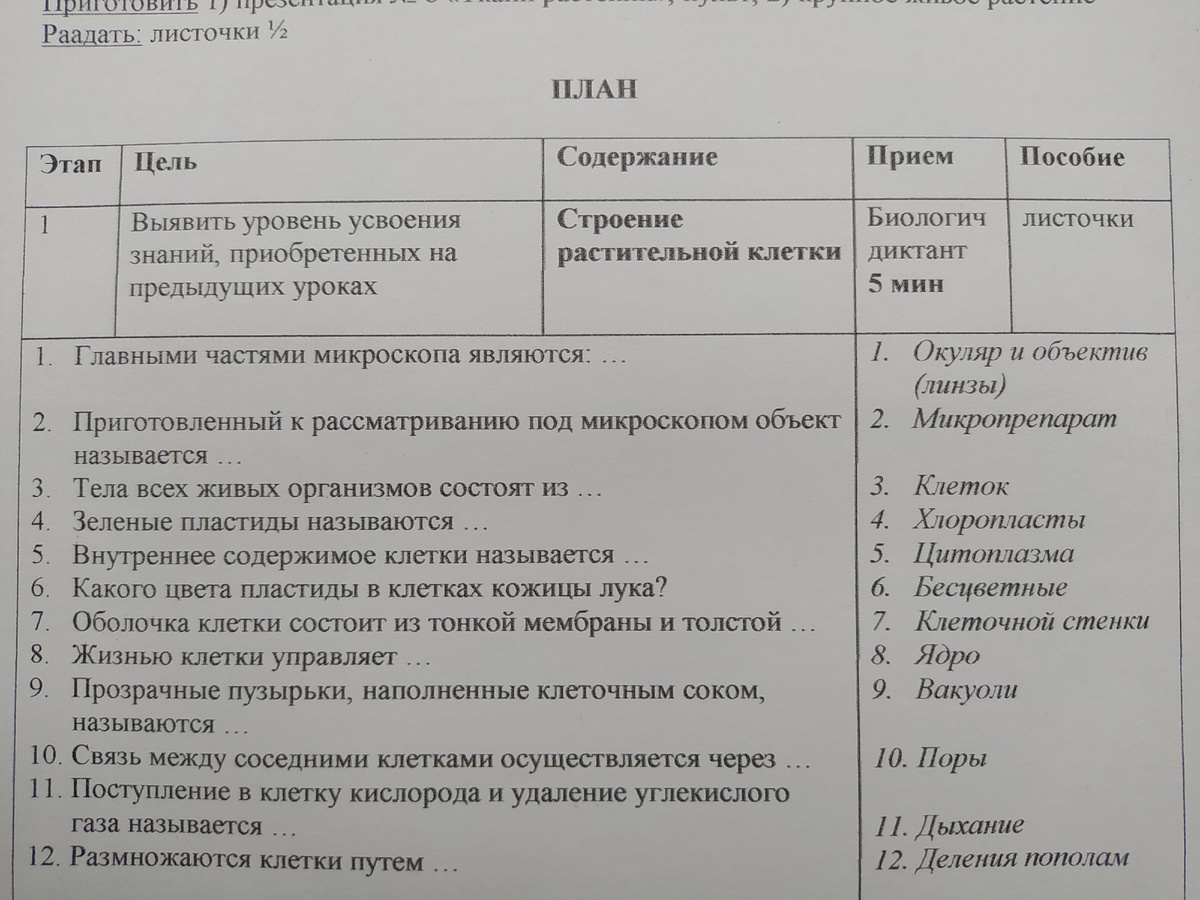 Кусочек плана урока)