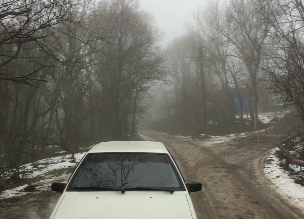 Фото носит иллюстративный характер: открытые источники