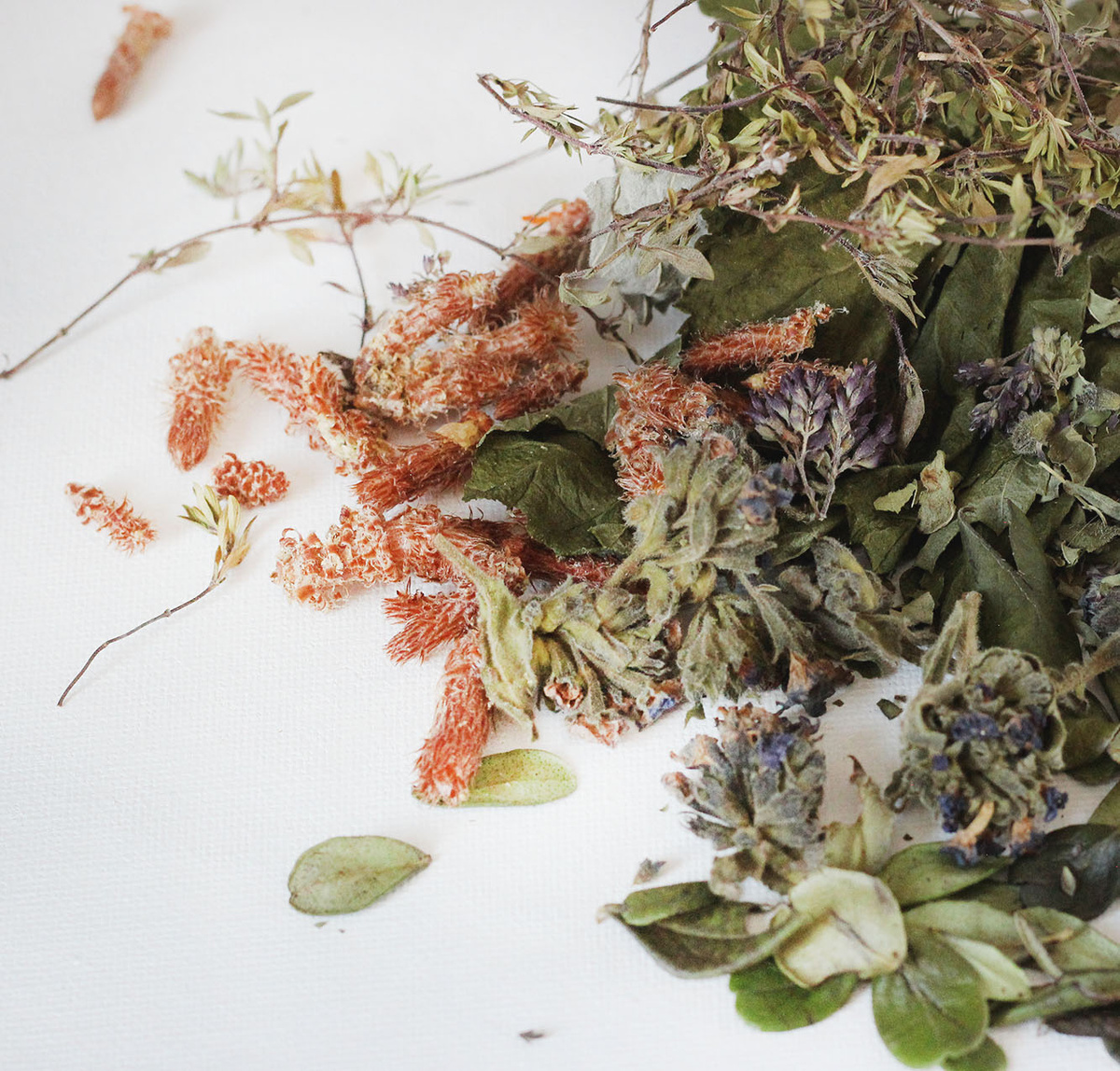 люблю фотографировать сборы перед отправкой