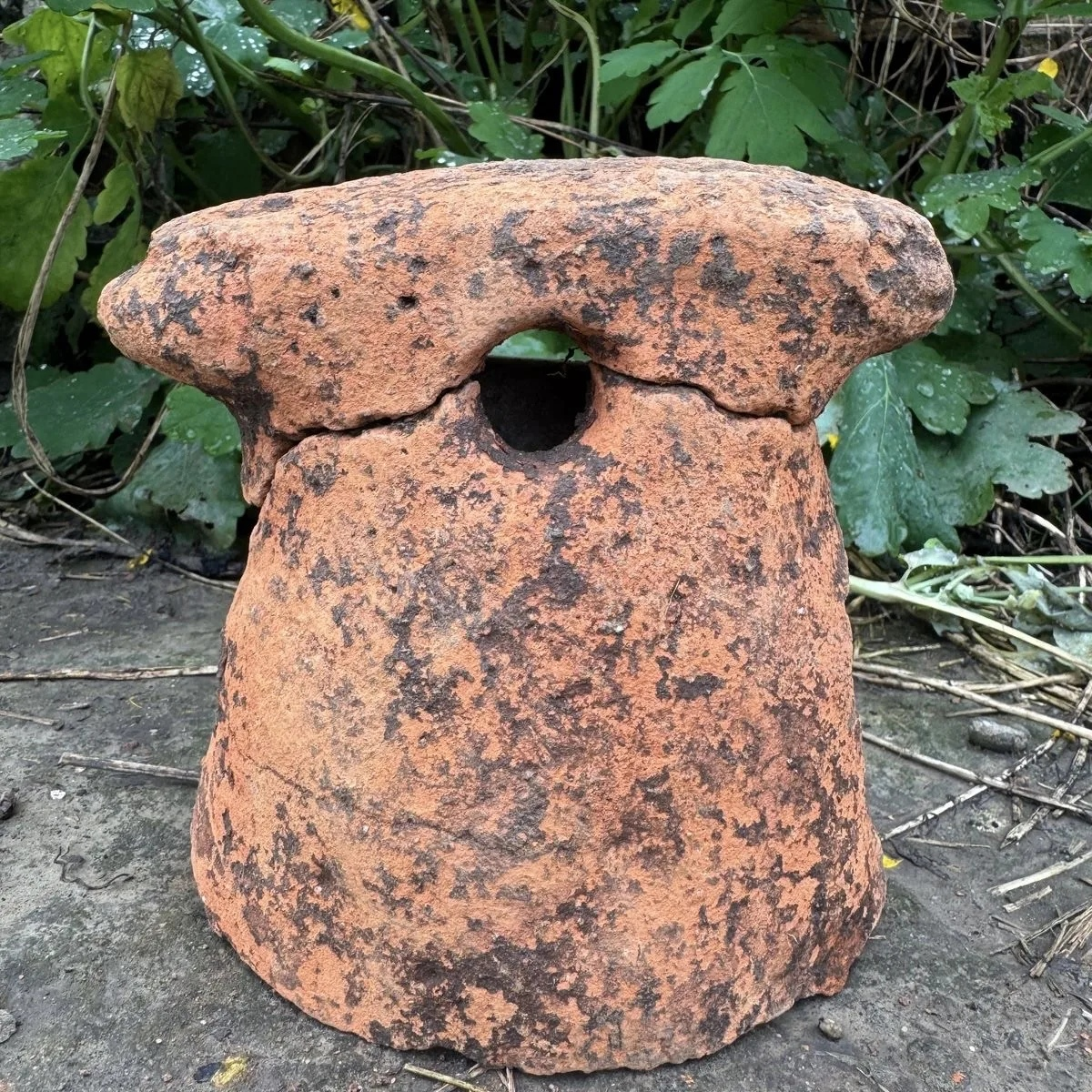    Фото: Правительство Адыгеи, источник: adygheya.ru