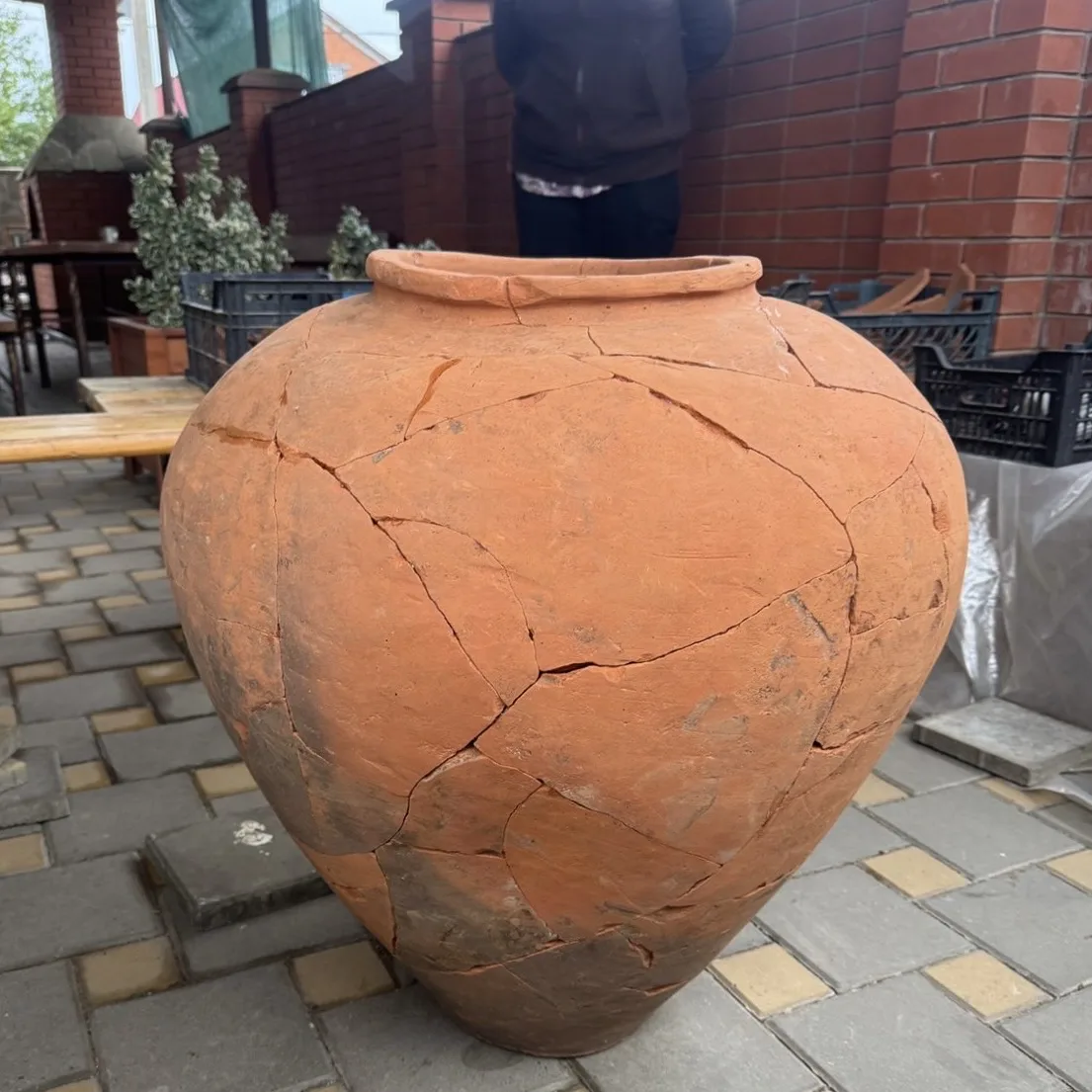    Фото: Правительство Адыгеи, источник: adygheya.ru