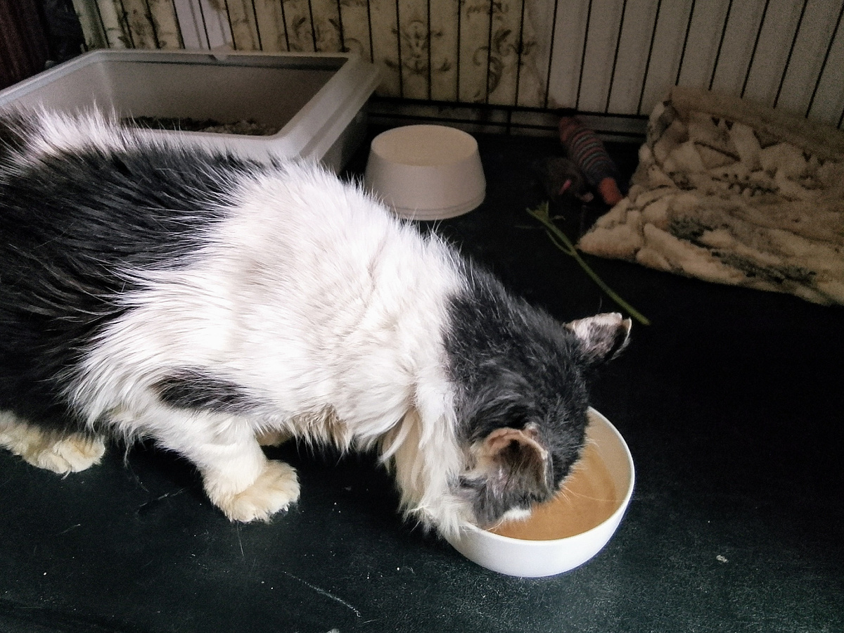 Аппетит хороший