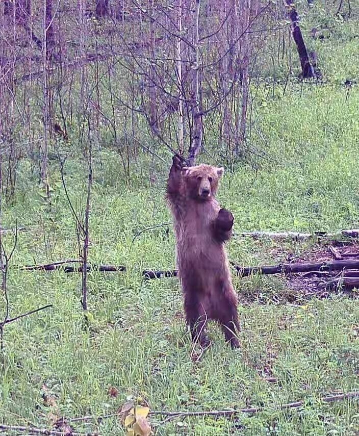    Фото: Пресс-служба Минприроды Забайкалья