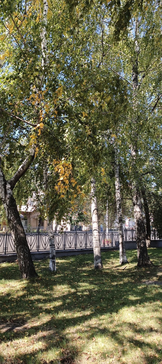 Конец сентября 2025 г