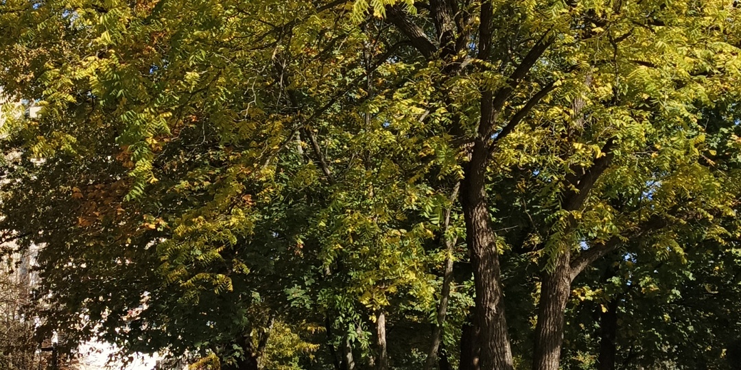 Пятигорск. Просто осенние тёплые дни. Фото.