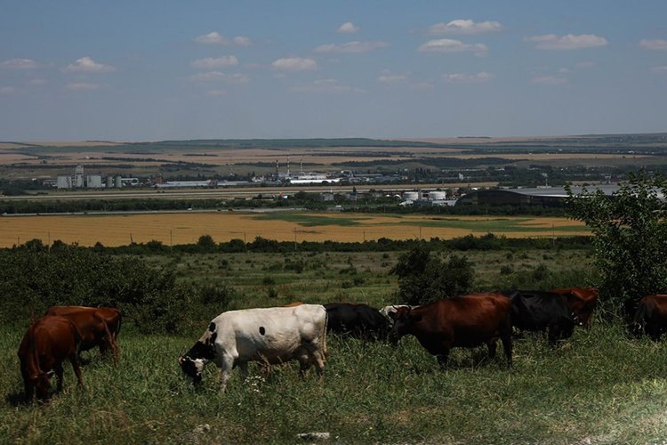   Фото: Северо-Кавказский федеральный университет