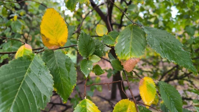 Иллюстрация: © «Панорама»
