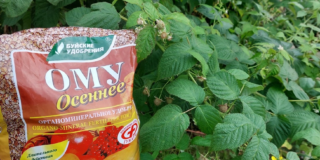 ОМУ Осеннее. С чем, когда и как можно смешивать?