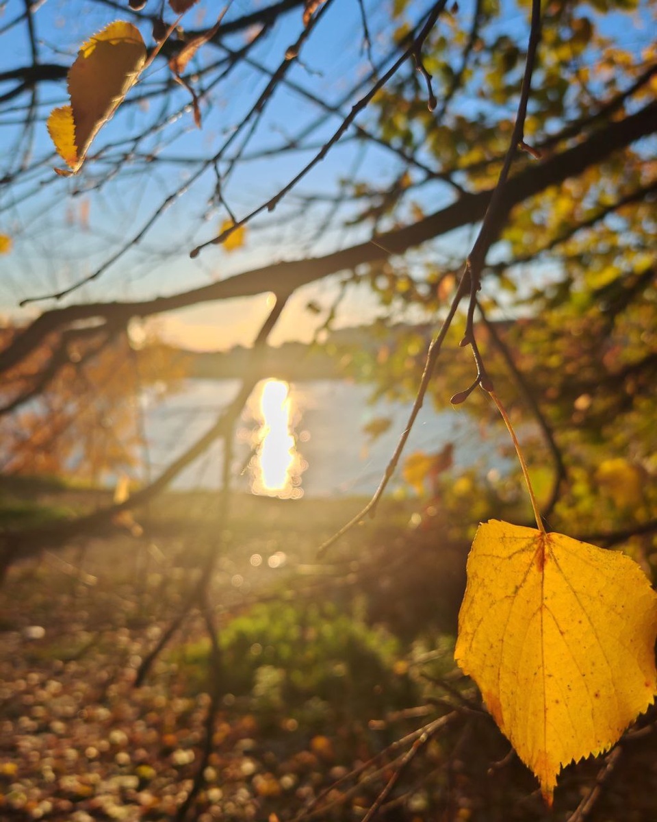 #Астропрогноз на 20-26 октября 2025. Ключевые аспекты дня