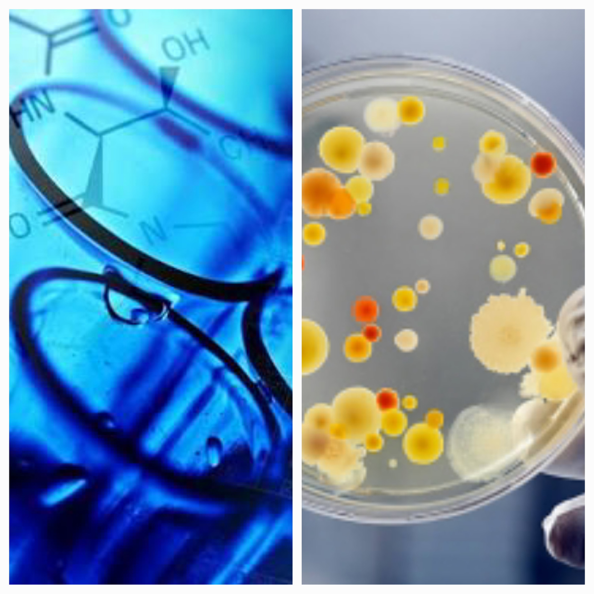 Фото взято из свободных источников