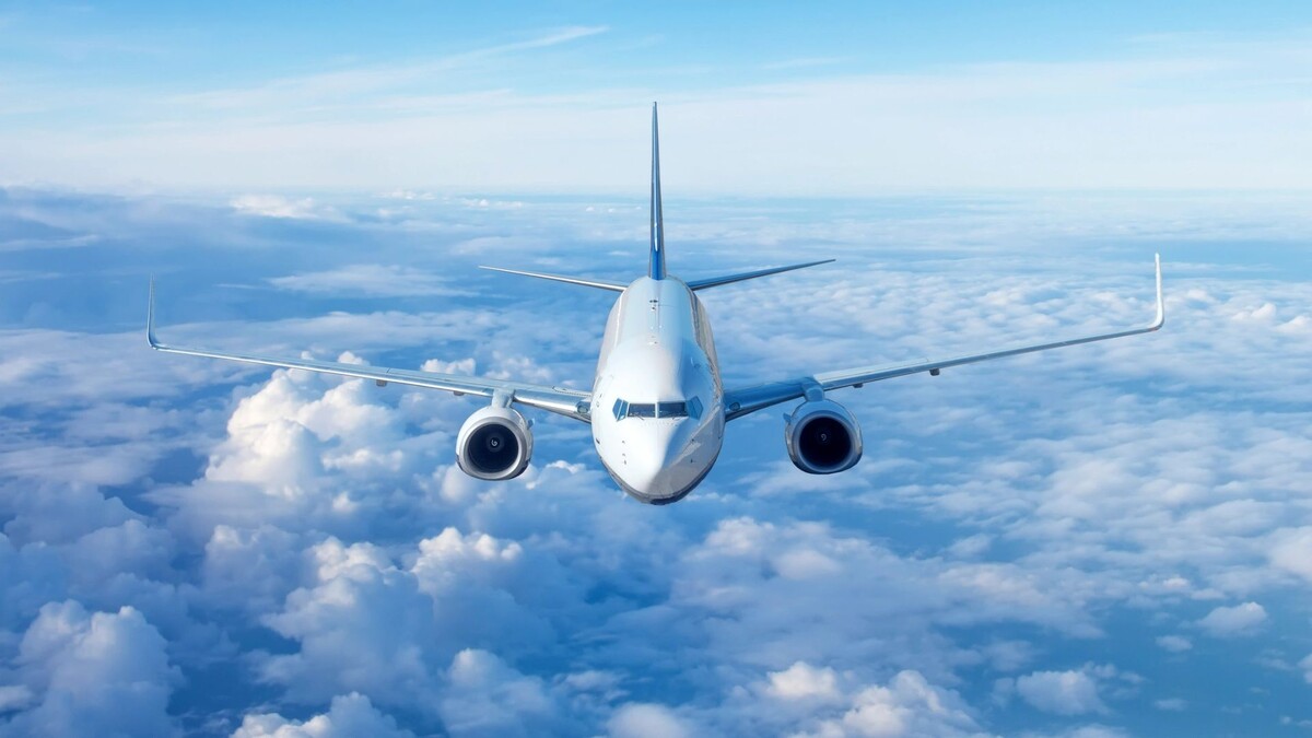    Фото: Andrey Sedoy / Shutterstock / Fotodom