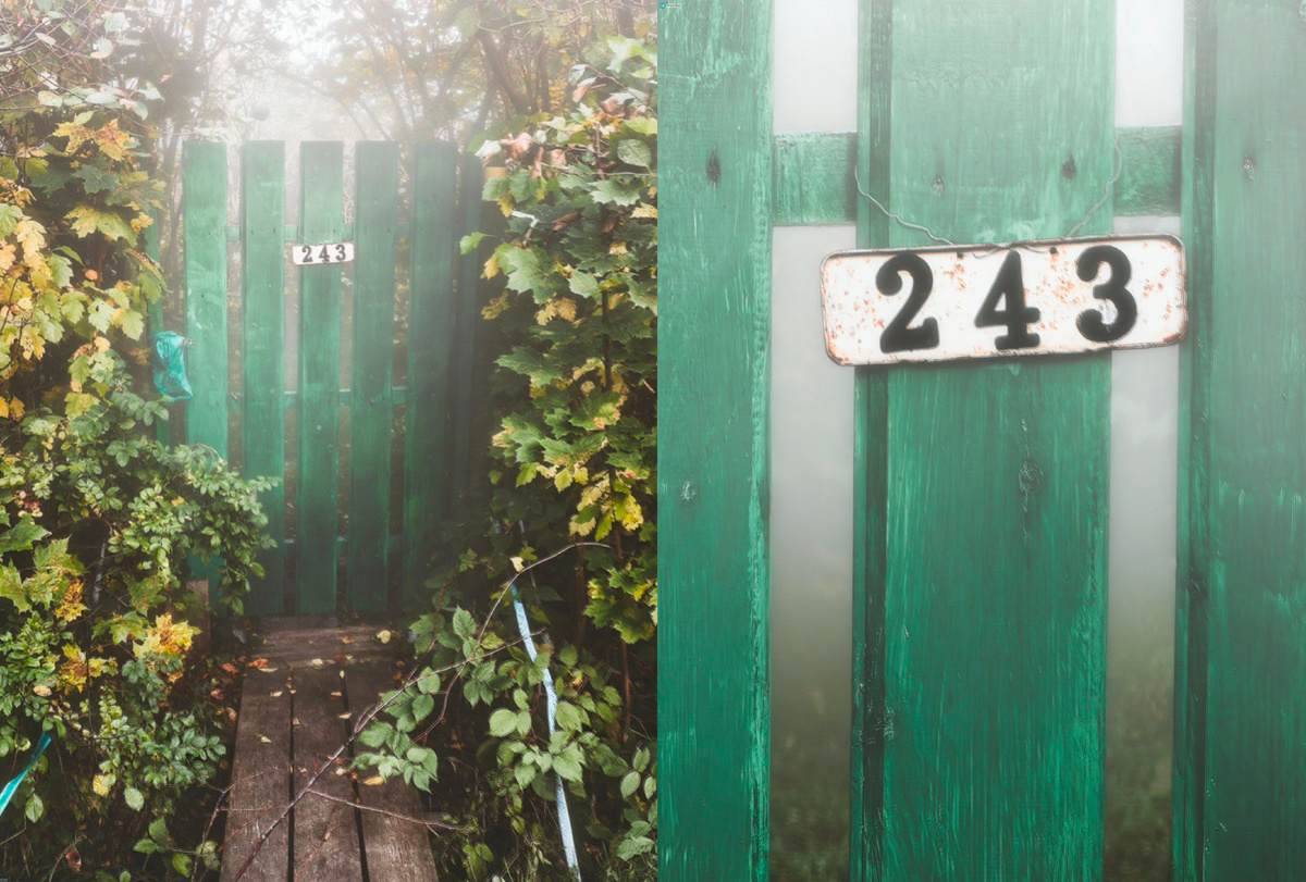 Телеграм канал - Святая Руфь📸