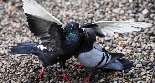    РИА «Новости»