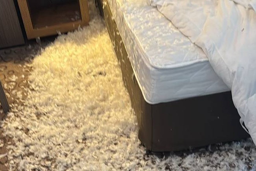    Фото © Telegram / Сергей Пенкин