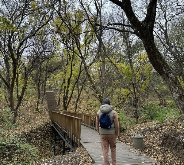 Эко-тропа: Мухина балка + бонус к ней.