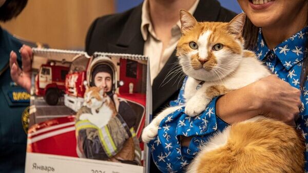    © РИА Новости Крым