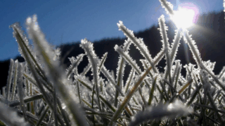    Pinterest Юлия Виноградова