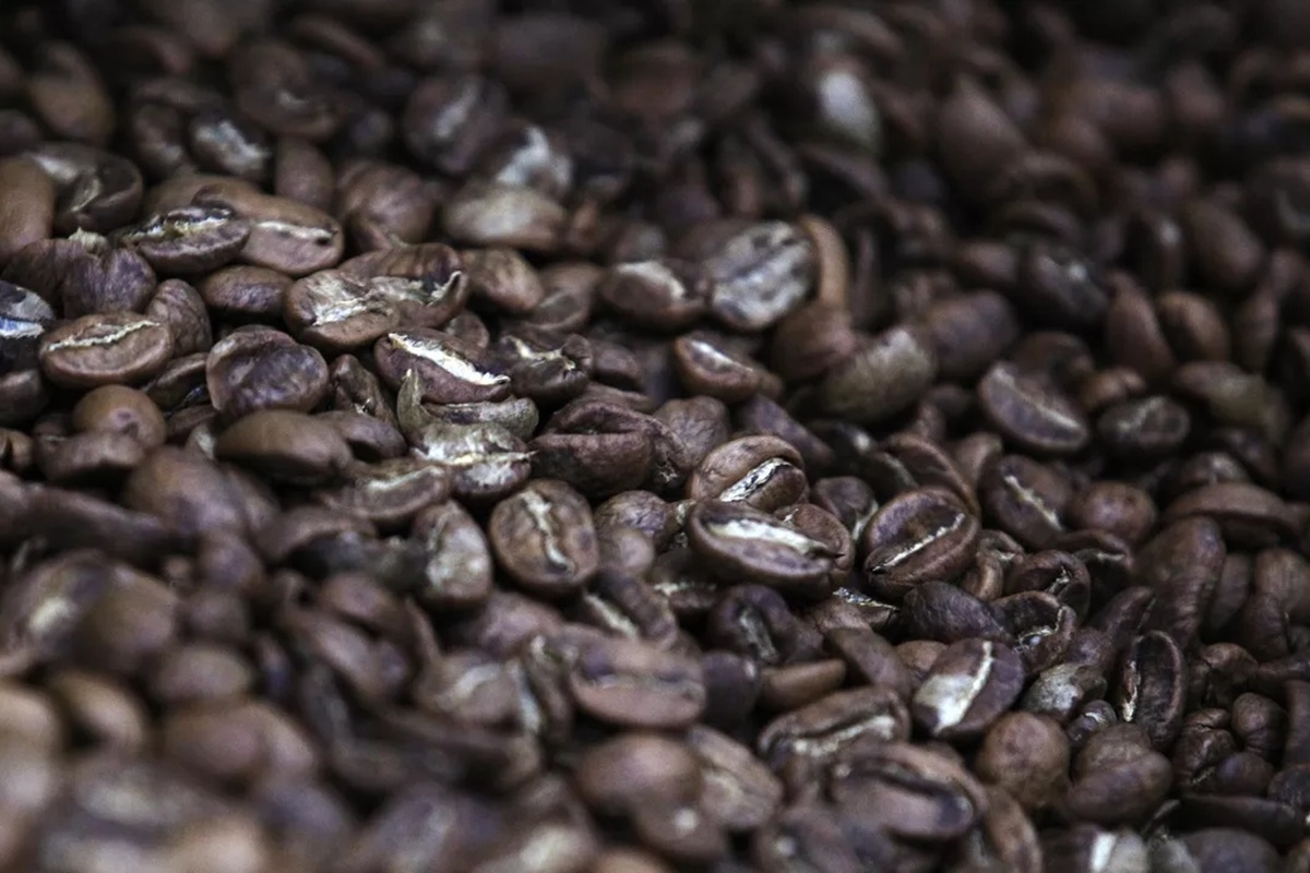    Фото: Евгений Биятов, источник РИА Новости