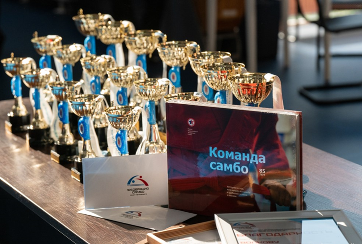 Спортивные победы кадет