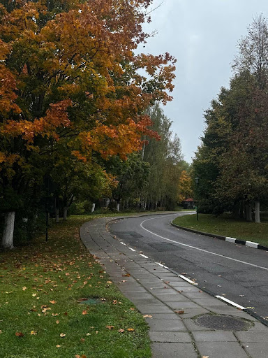 Что там за поворотом? / Фото автора