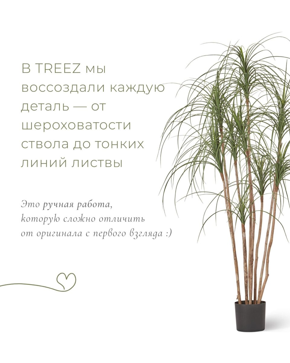 Растения TREEZ Collection
