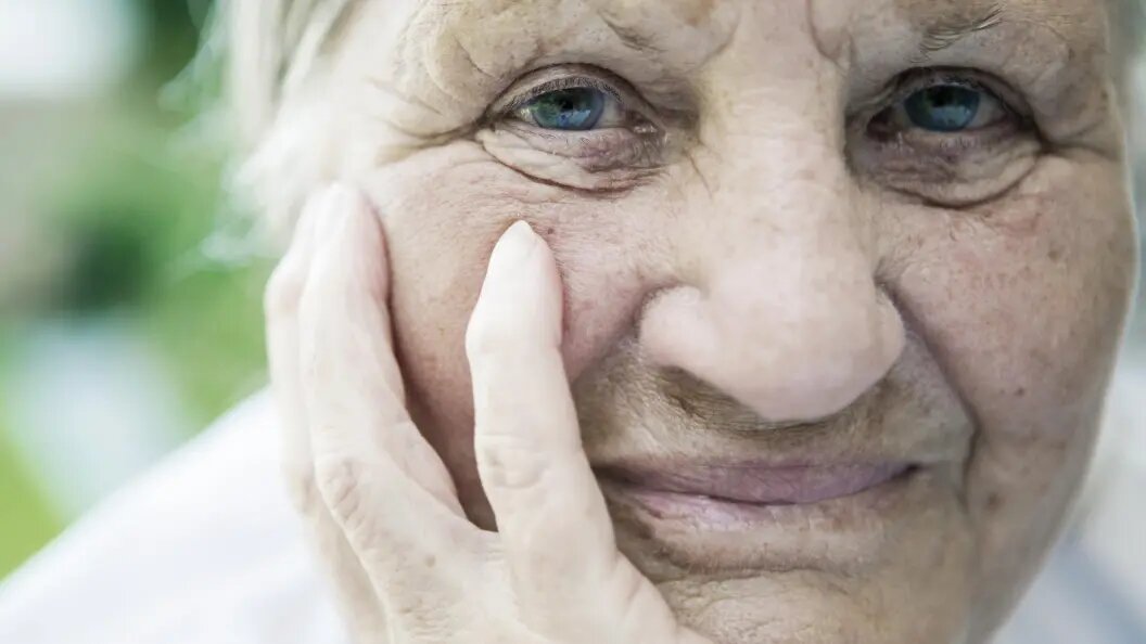    Фото: scully/imageBROKER.com/Globallookpress