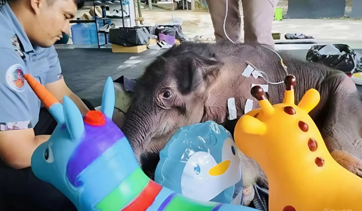 Фото: ежедневная газета Bangkok Post