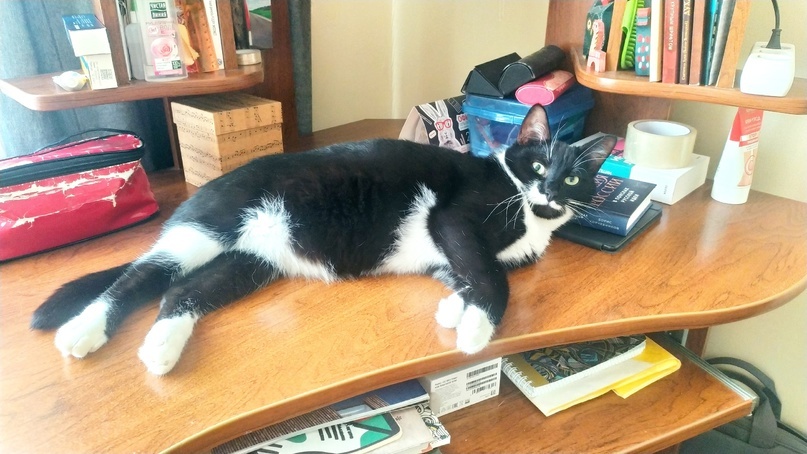 фото Виктора Гаврикова