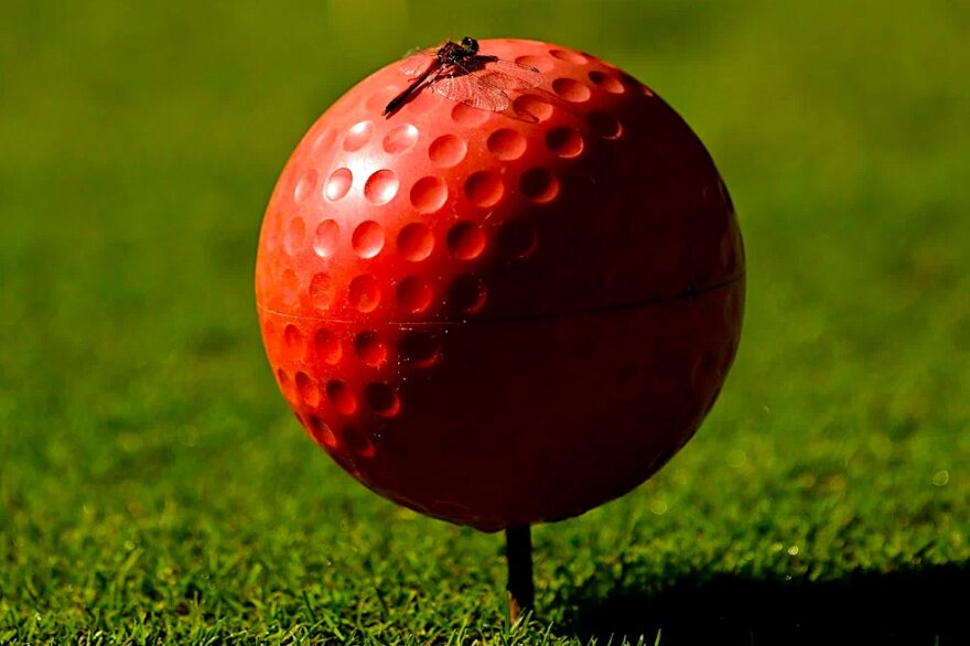 Фото: Дмитрий Синяткин