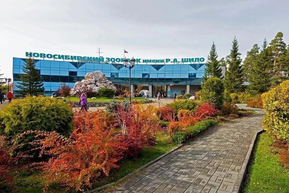 Фото взято из интрнета