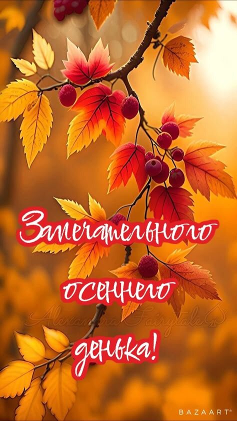 Из интернета для хорошего настроения 🫶🏻💐